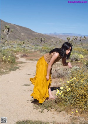 A woman leaning on a tree branch in front of the sun.